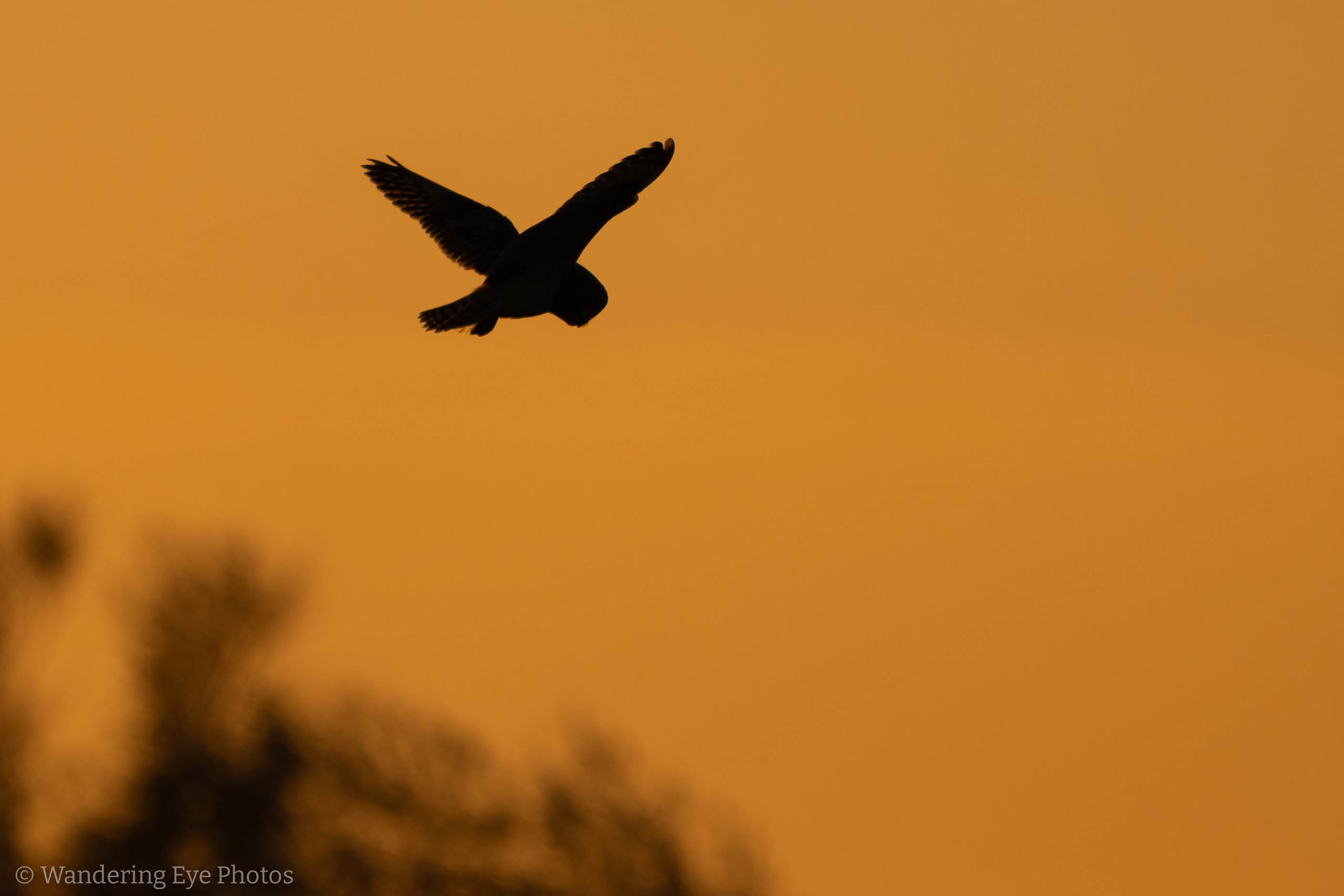 11.24 15.36.22 DSC02063